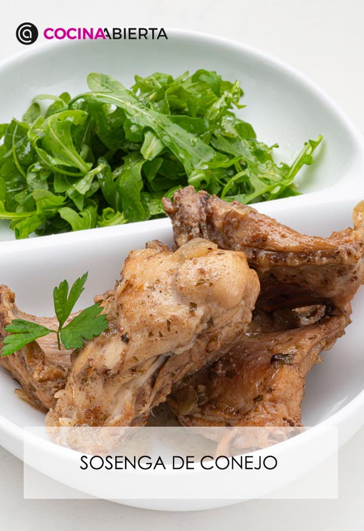 karl6653 sosenga conejo v