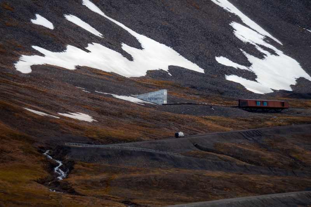 El Banco de Semillas de Svalbard se encuentra en una isla del archipiélago ártico de Svalbard