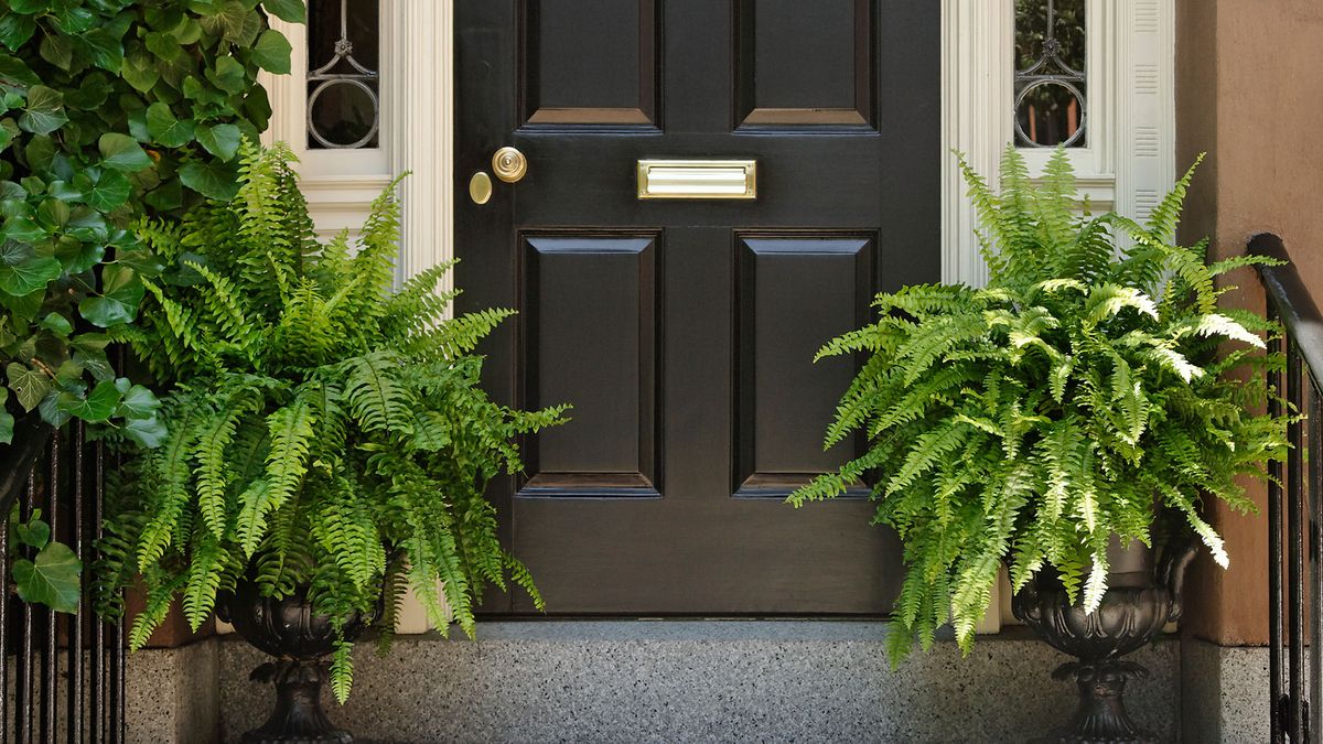 BRICO_359_Plantas porches portales