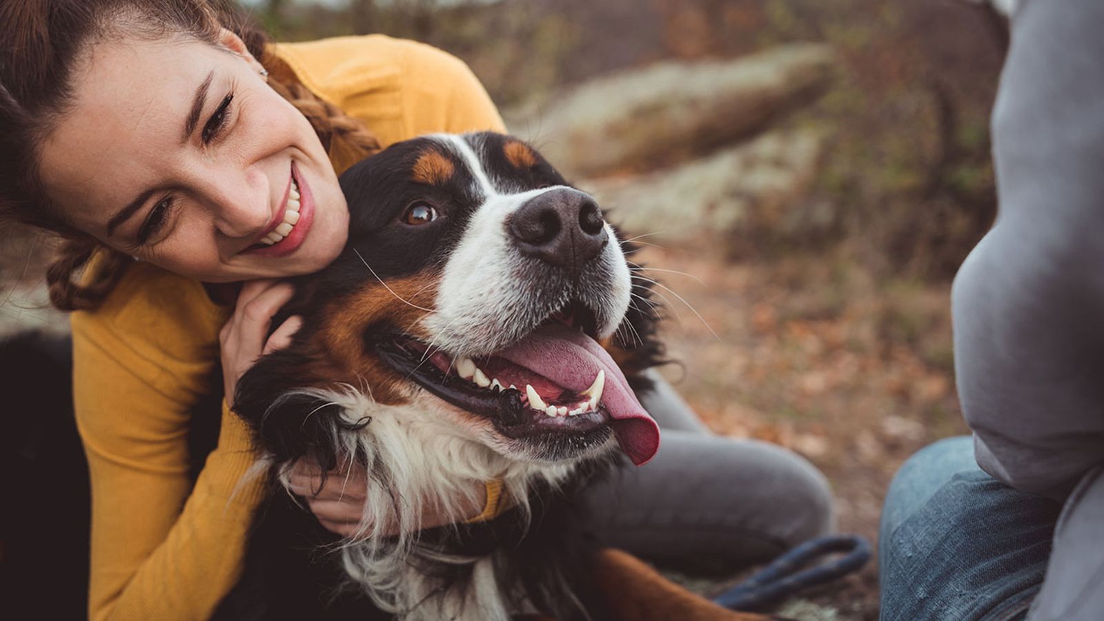 saber antes tener perro portada