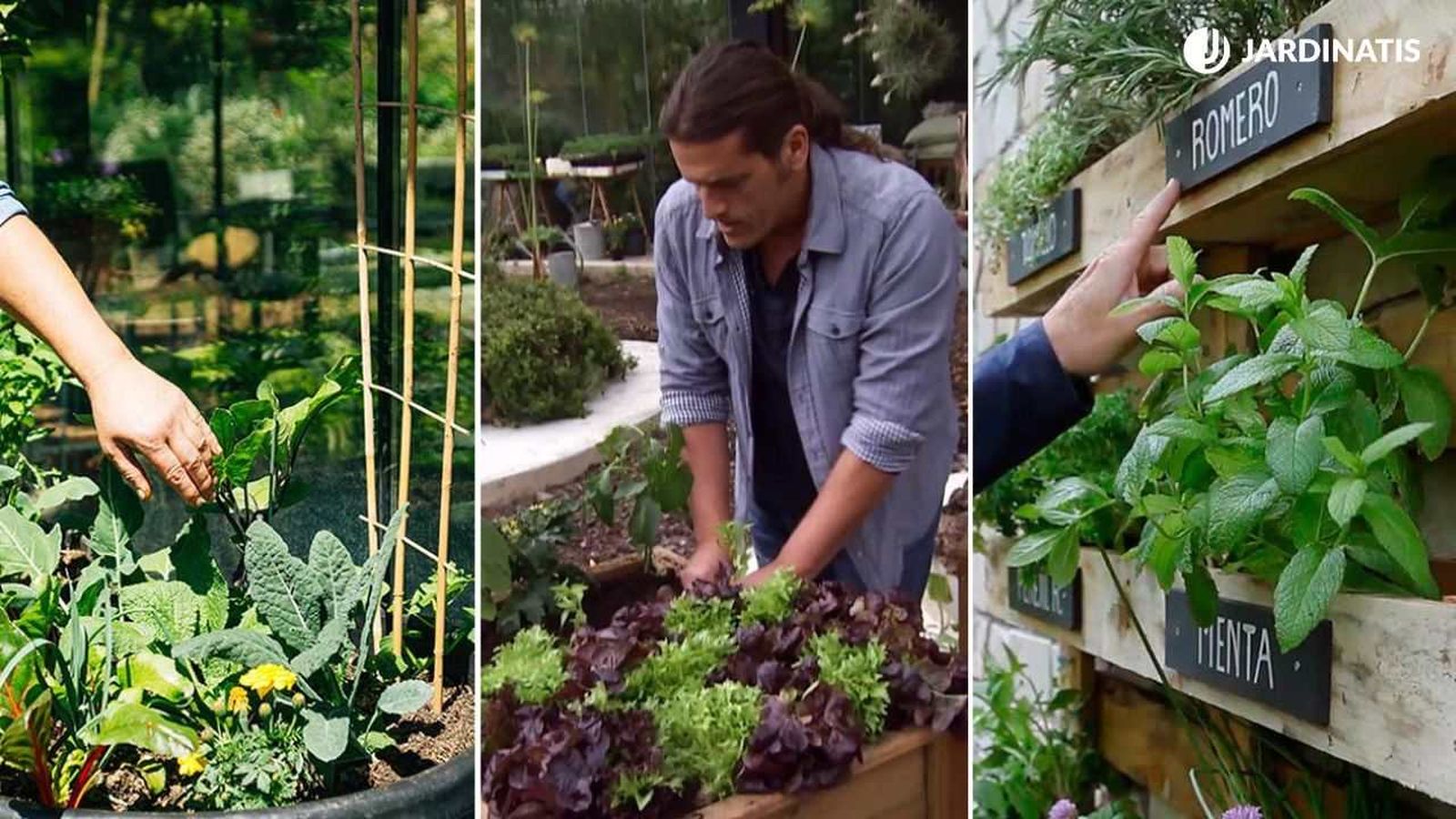 Puedes escoger entre distintos sistemas para tener un huerto urbano en casa