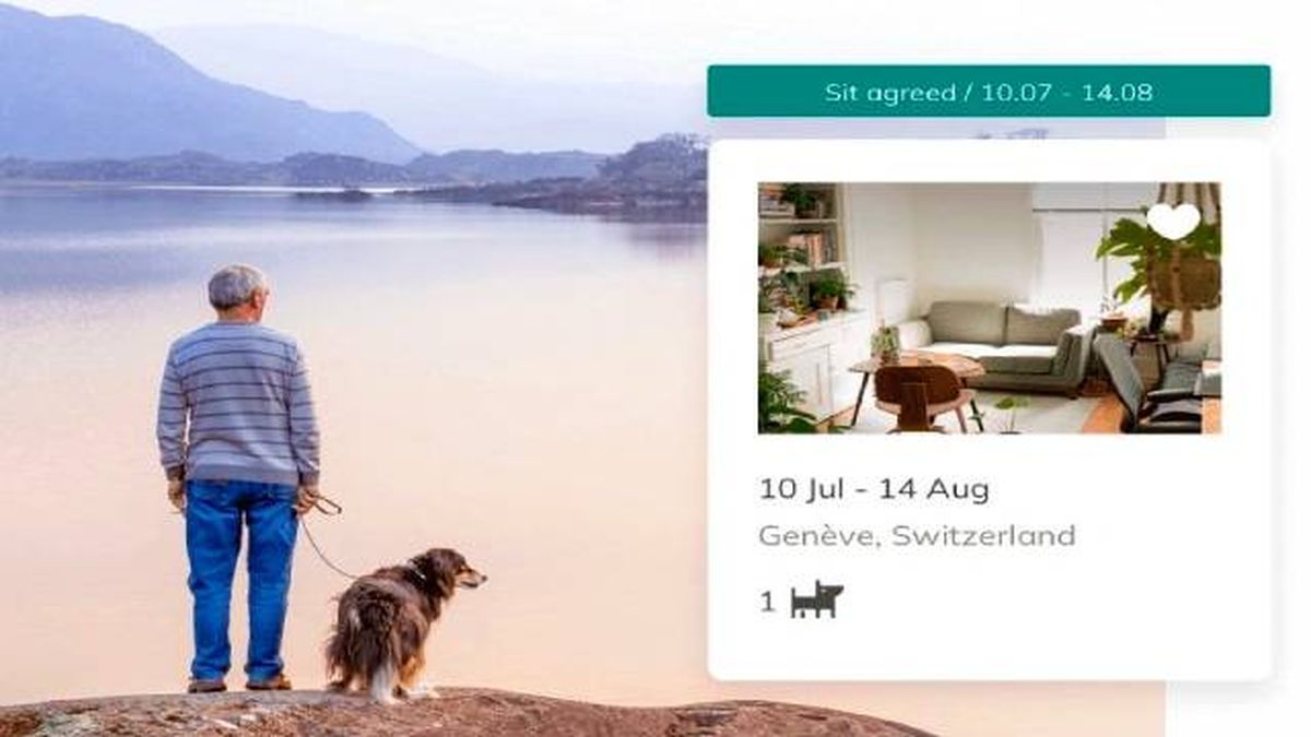 pet sitting viajar cuidando mascotas alojamiento gratis