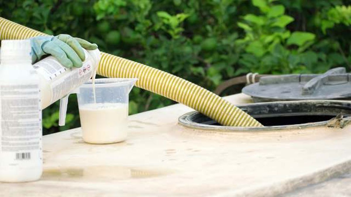 como y cuando se debe aplicar el sulfato de cobre