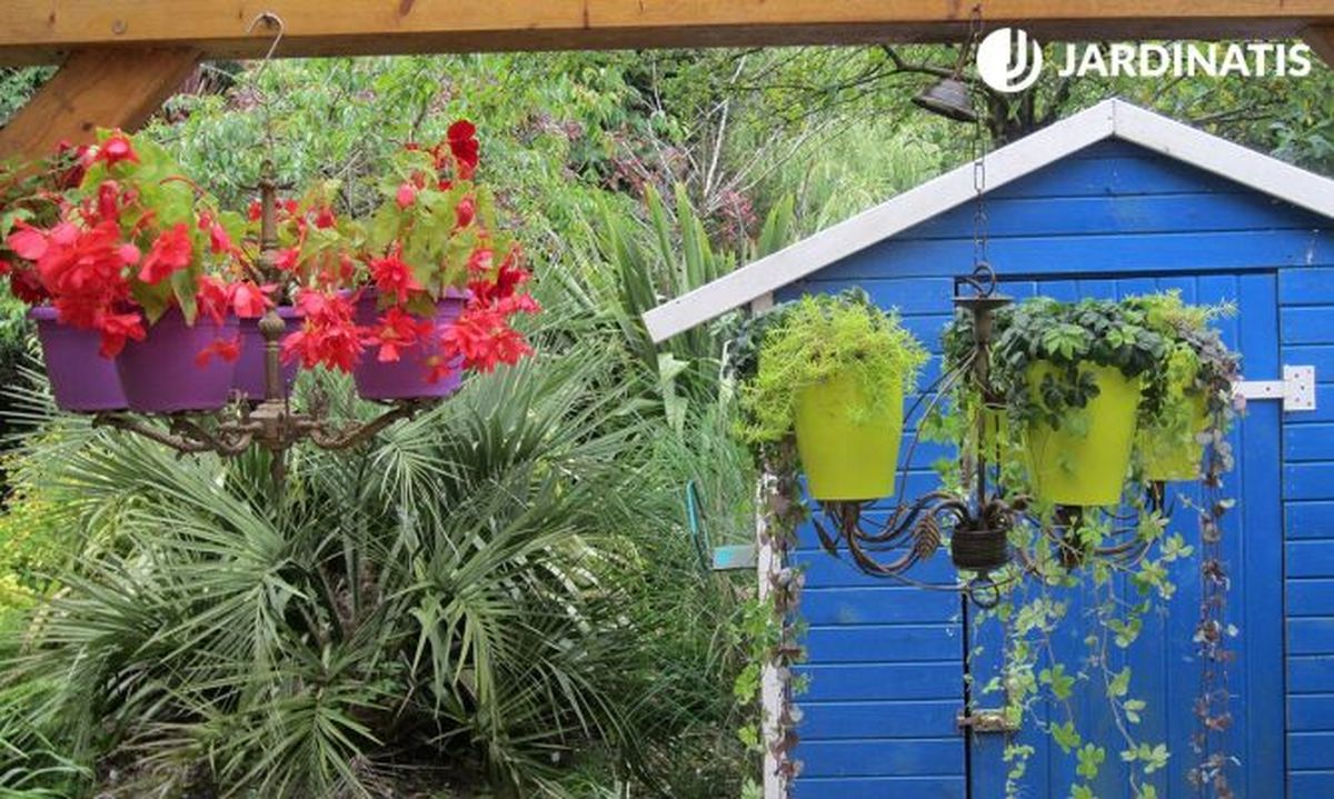 lamparas de arana como maceteros colgantes