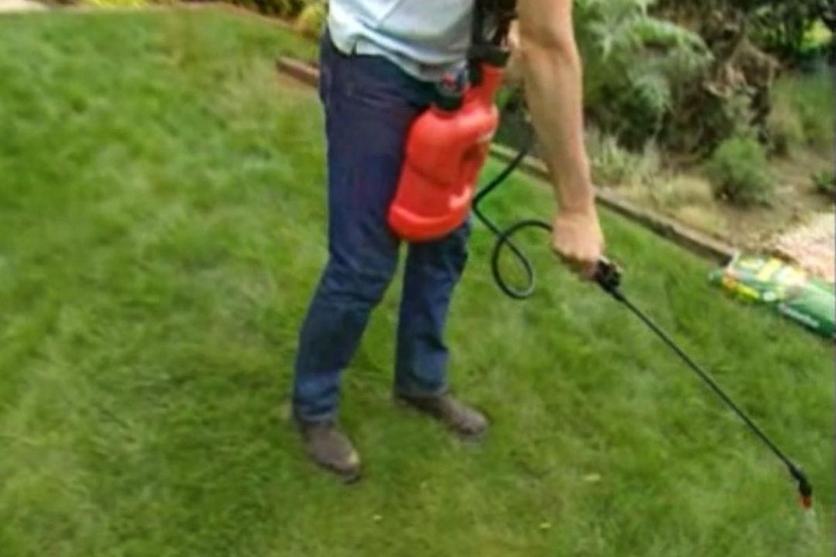 brico jardin 459 tratar hongo calvas cesped primavera paso 4