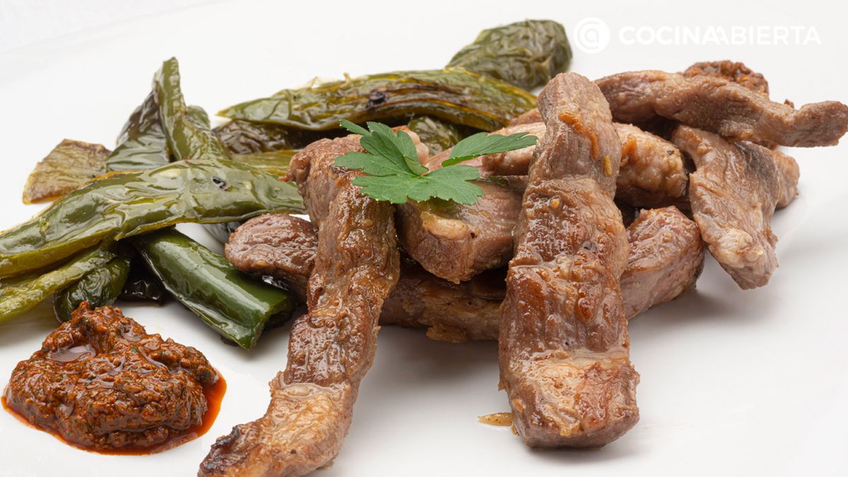 karl6732 lagarto mojo xl