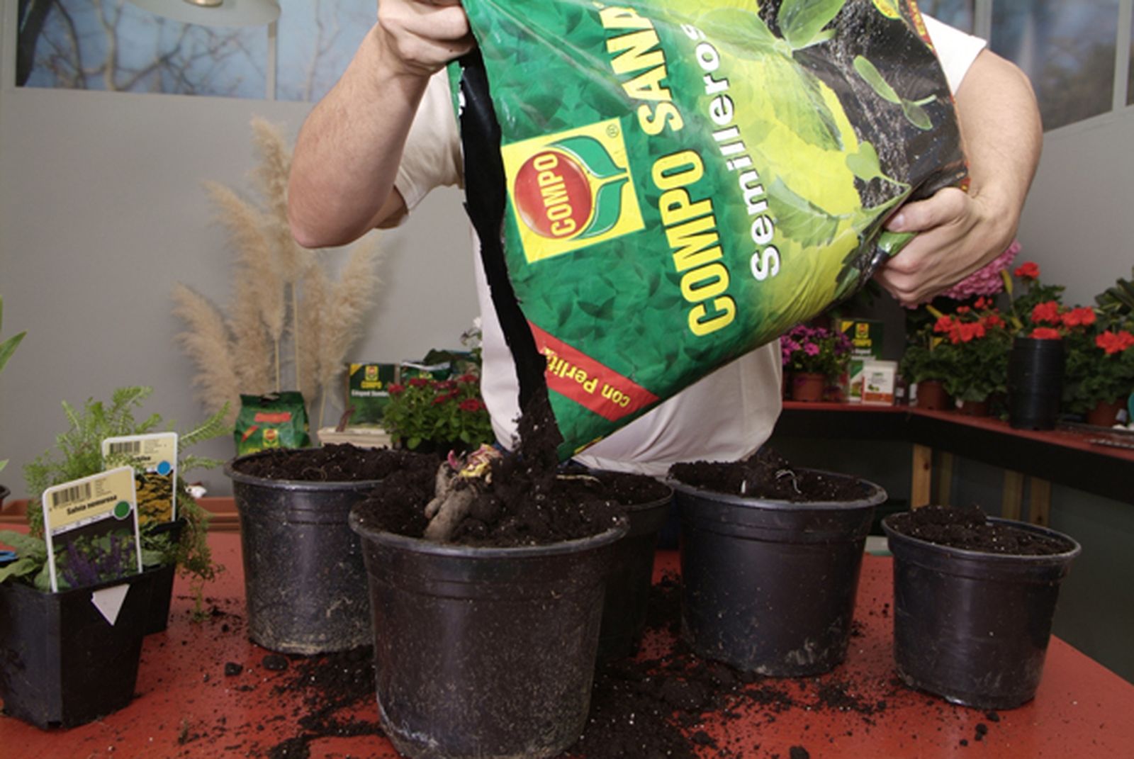 Plantaciondevivacespaso3