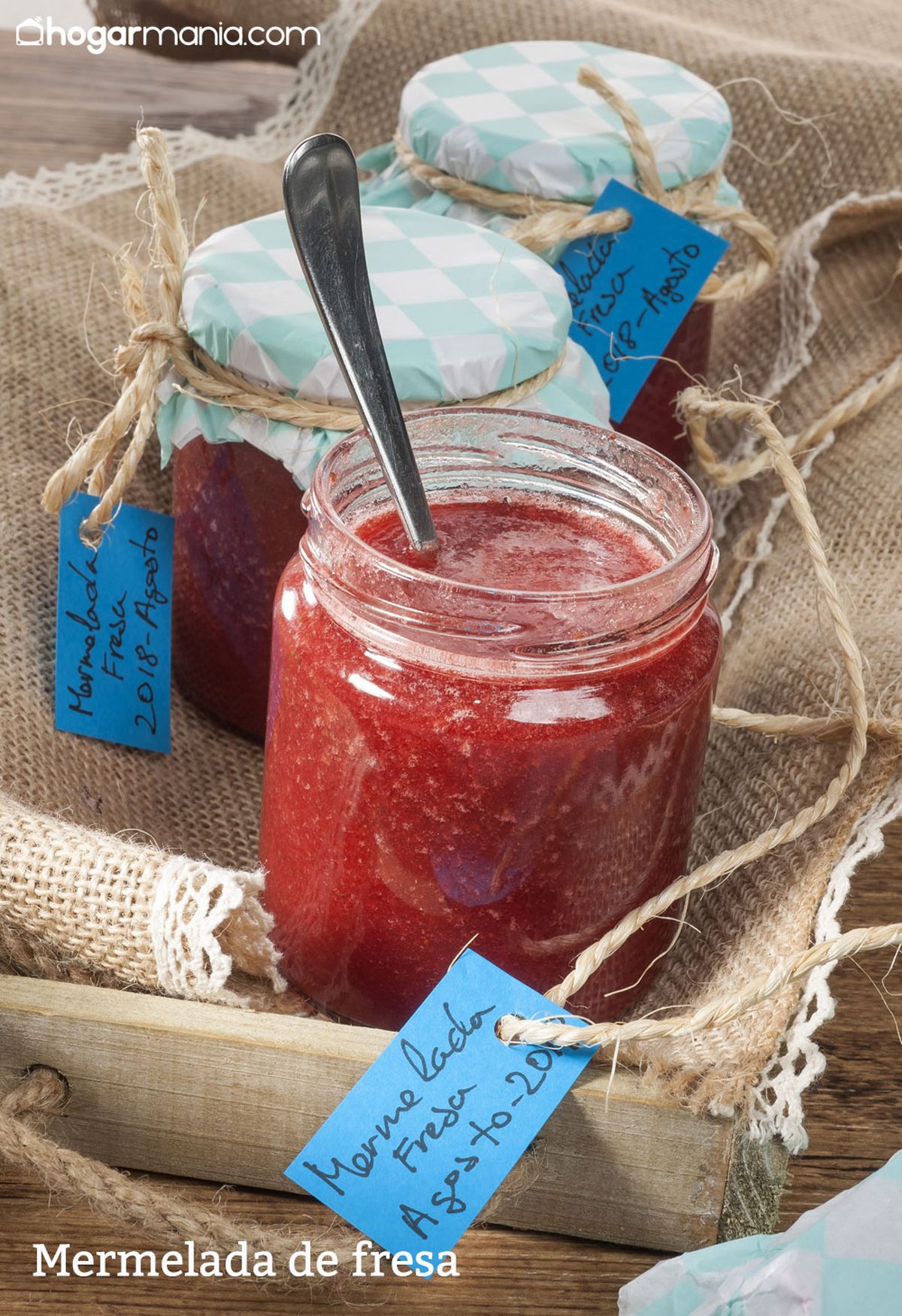 CABI0085NV17 Joseba mermelada de fresa xl vertical