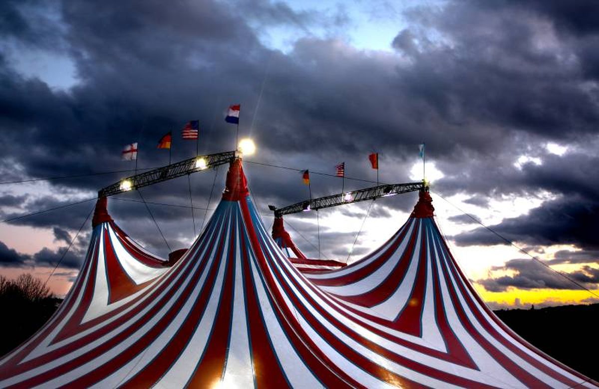 Muchos animales del circo fueron reubicados en refugios y reservas.