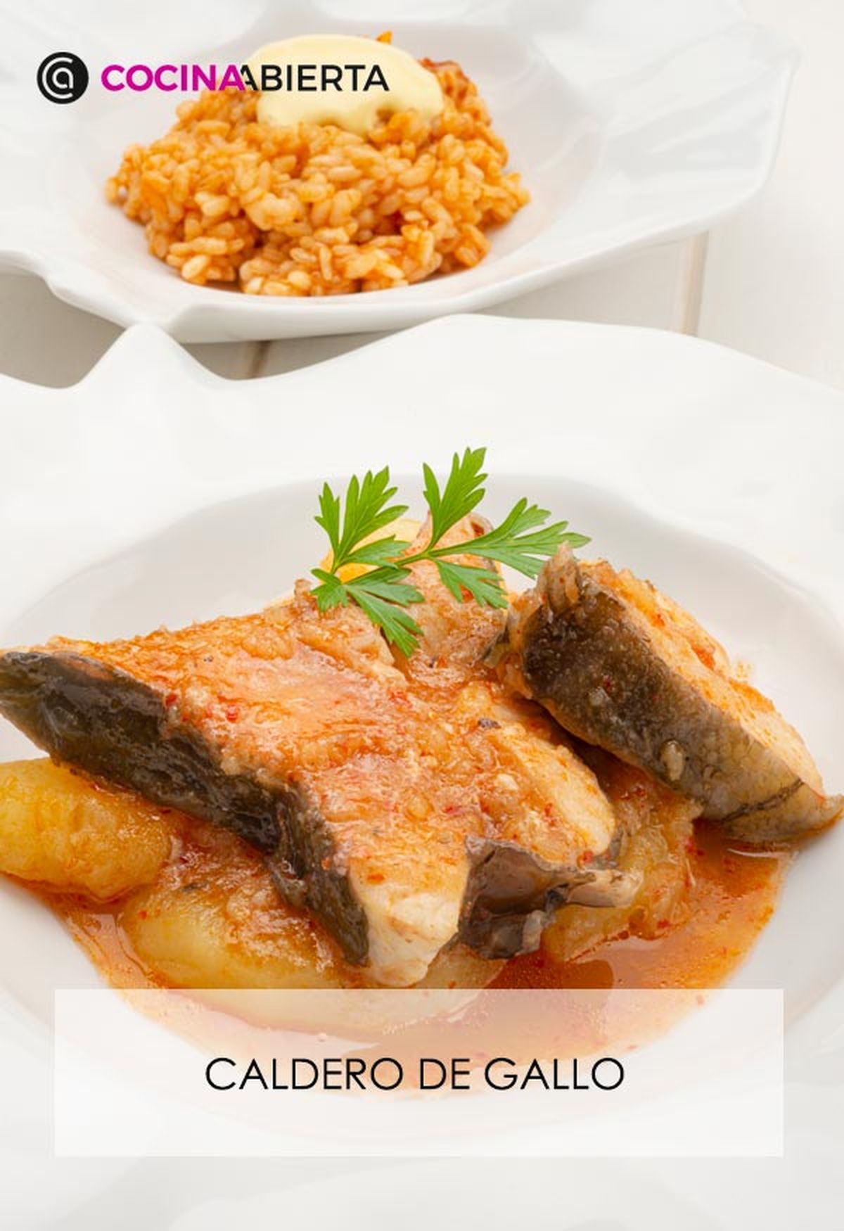 karl6610 caldero gallo v