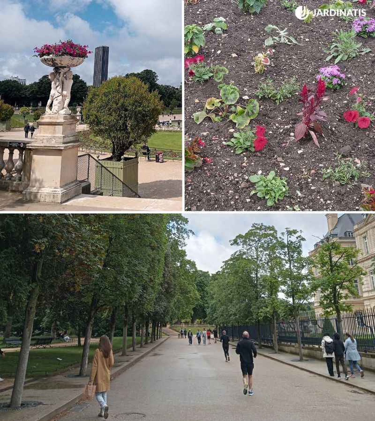 Variedad de vegetación en los Jardines de Luxemburgo