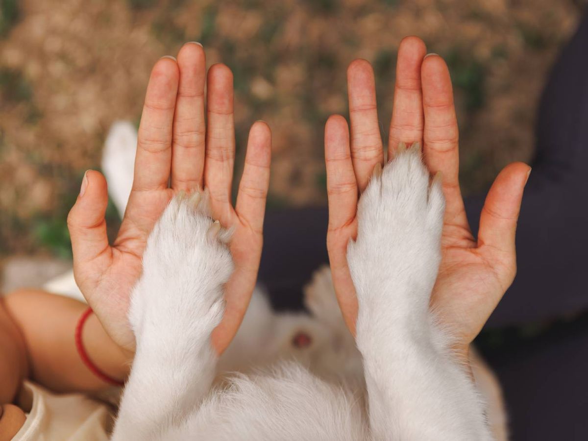 No, no existe una cura definitiva, pero los síntomas pueden controlarse.