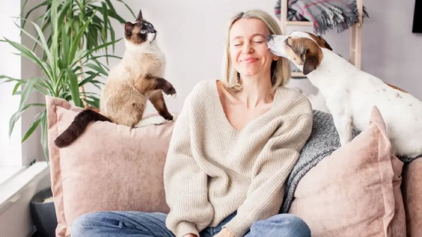 productos pet friendly 3