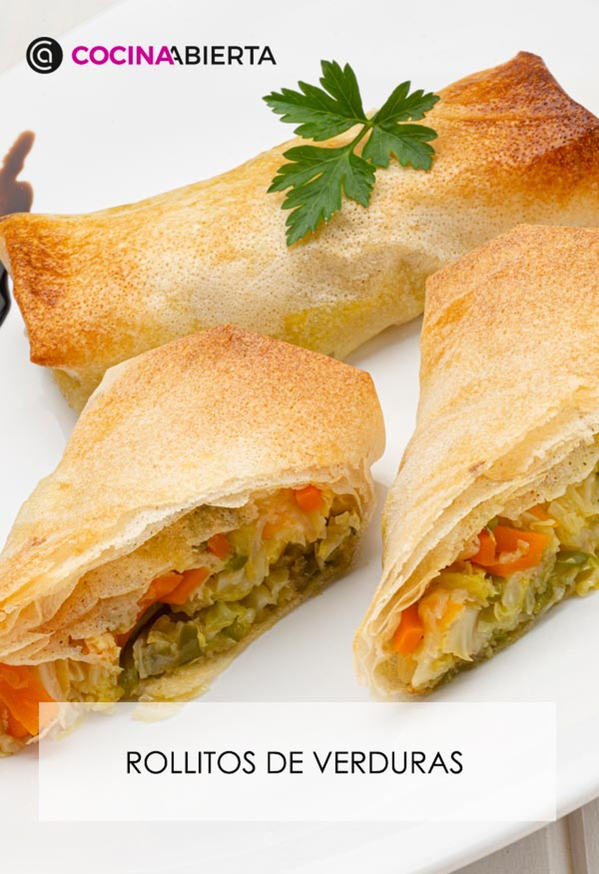 karl6668 rollitos verdura v