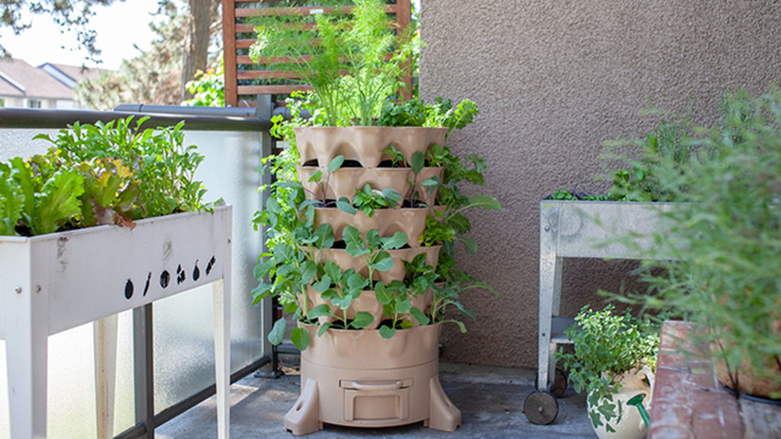 huerto jardin vertical