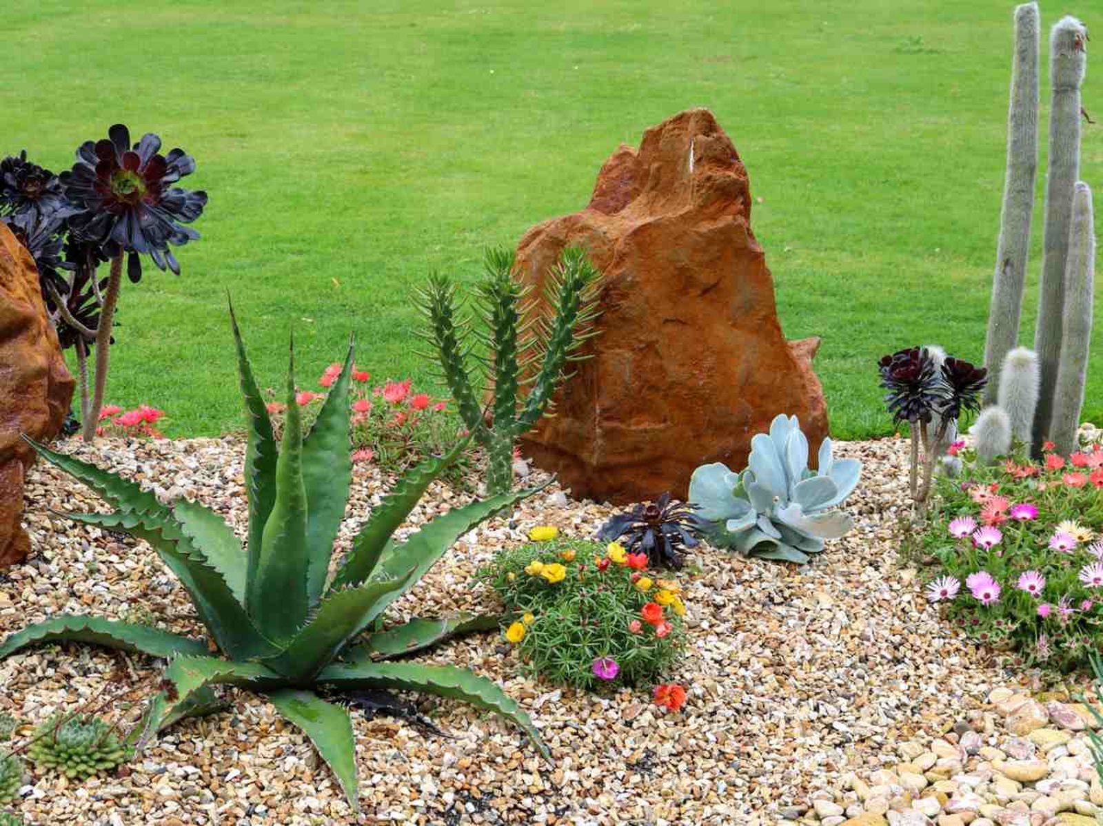 Un jardín de bajo mantenimiento permite disfrutar de belleza sin esfuerzo constante.