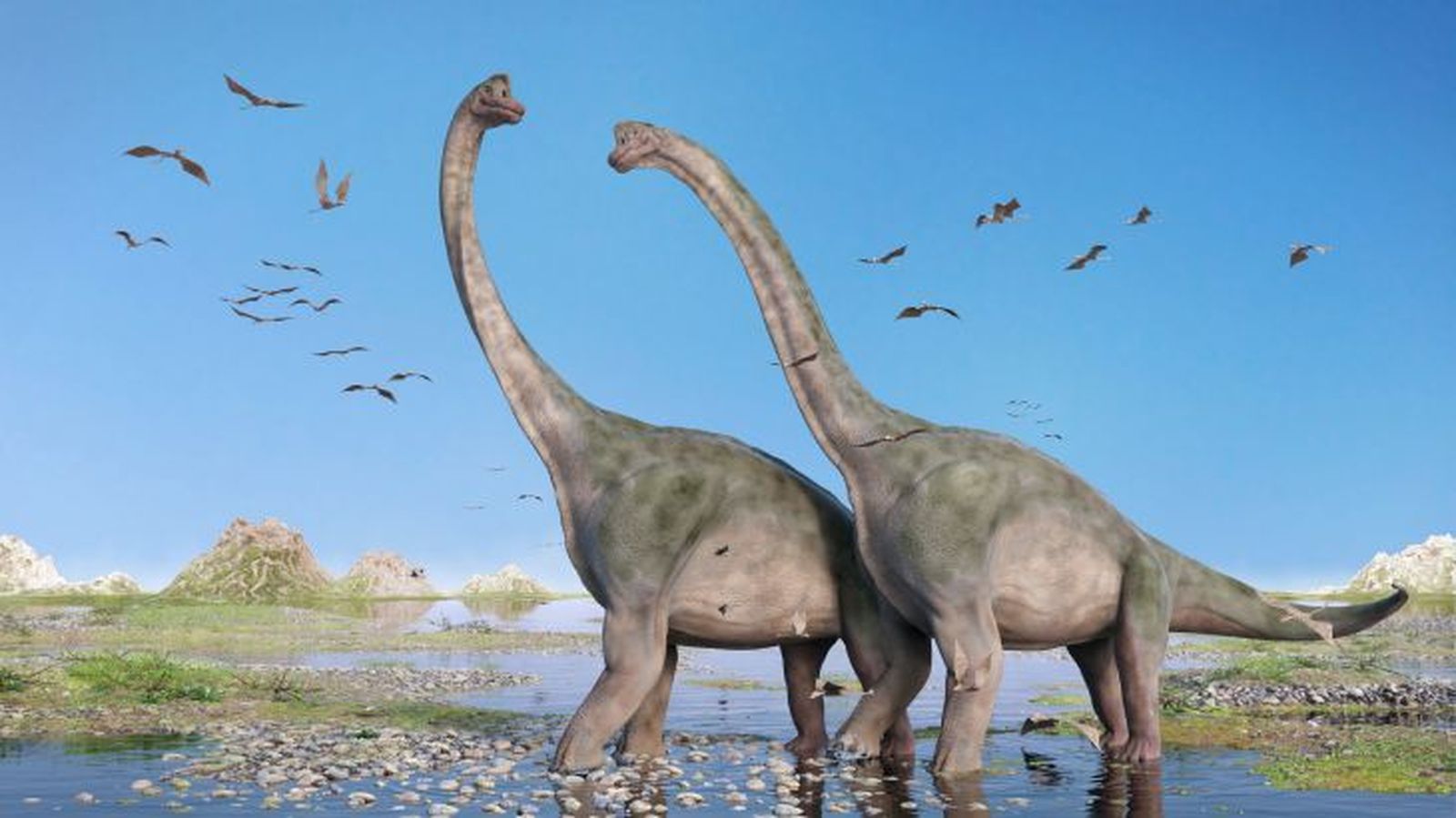 como eran los dinosaurios 14