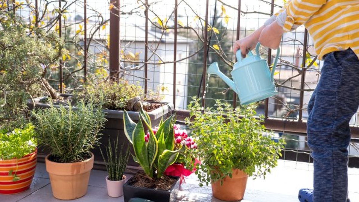 nueve trucos para ahorrar agua cuando hay sequia