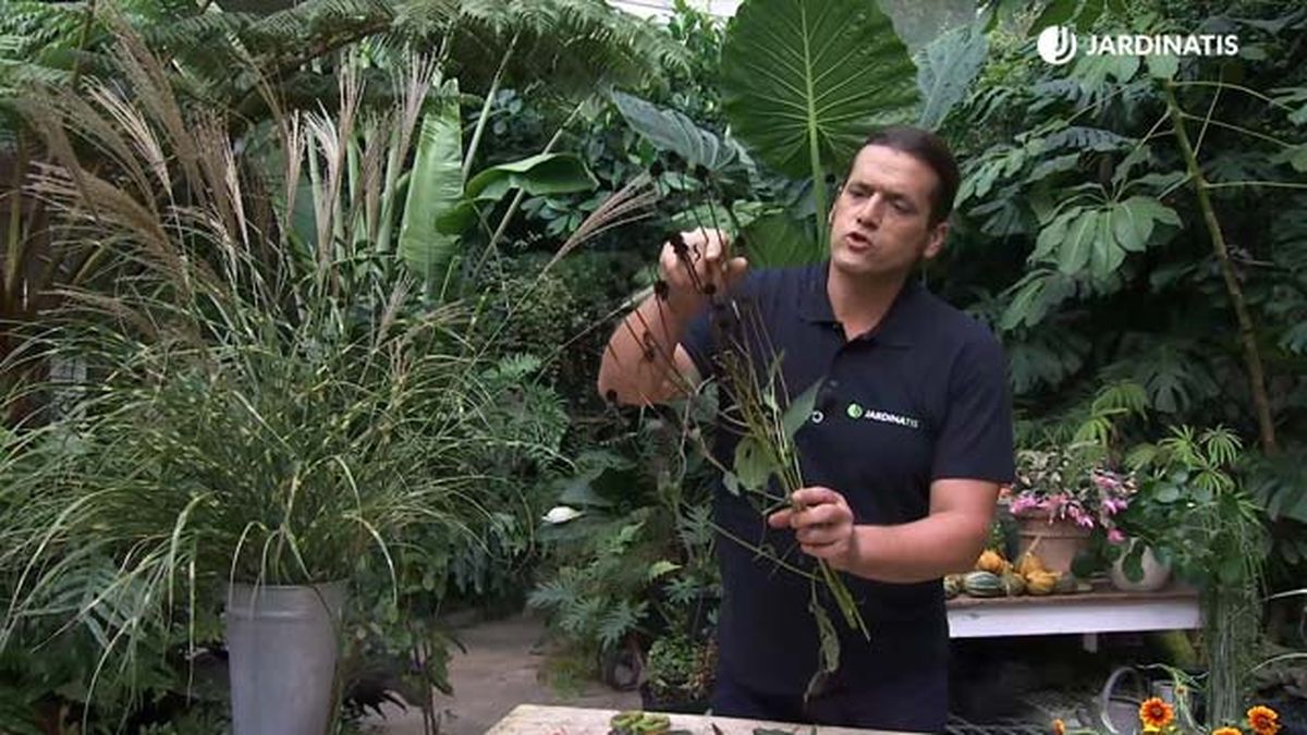 rudbeckias secas arreglo floral deco 754