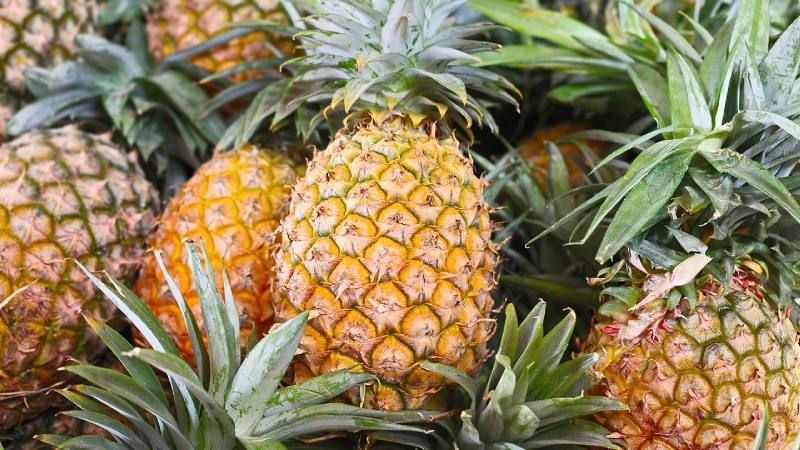 Propiedades curativas de la piña