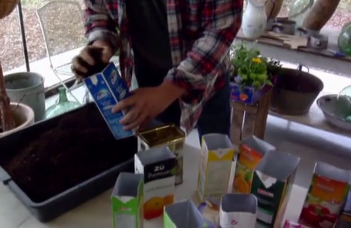 Plantar plantas aromáticas en bricks 3