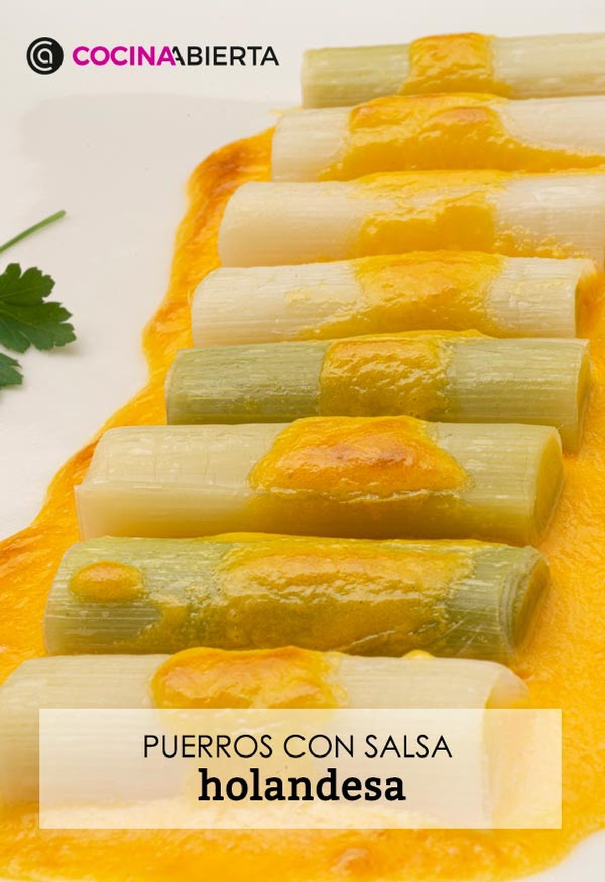 karl6654 puerros salsa v