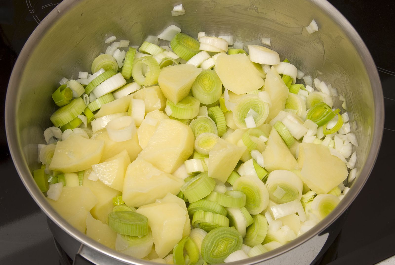 4979 Vichyssoise paso2
