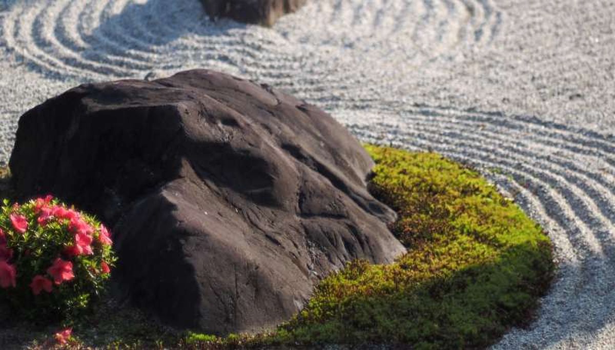 El musgo es el elemento vegetal más importante en los jardines japoneses
