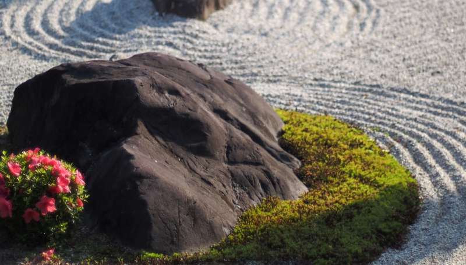 El musgo es el elemento vegetal más importante en los jardines japoneses