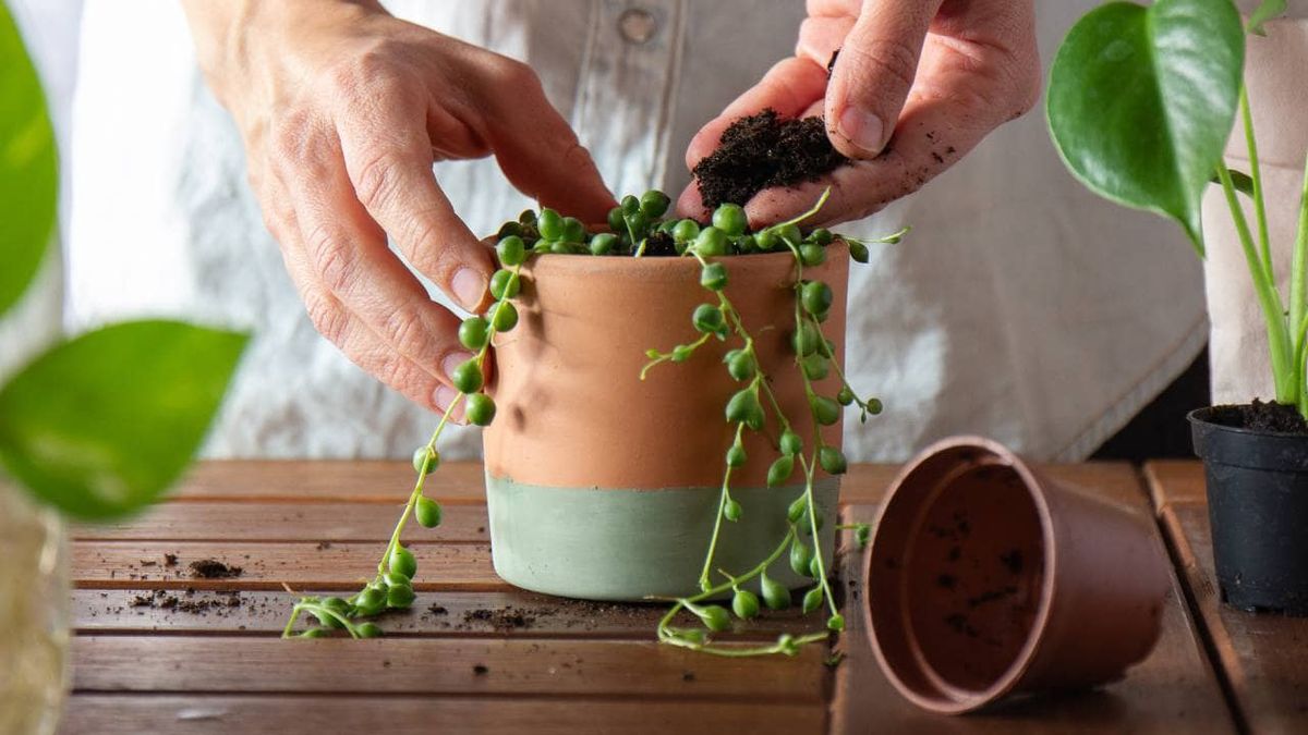 como pintar macetas de barro 8