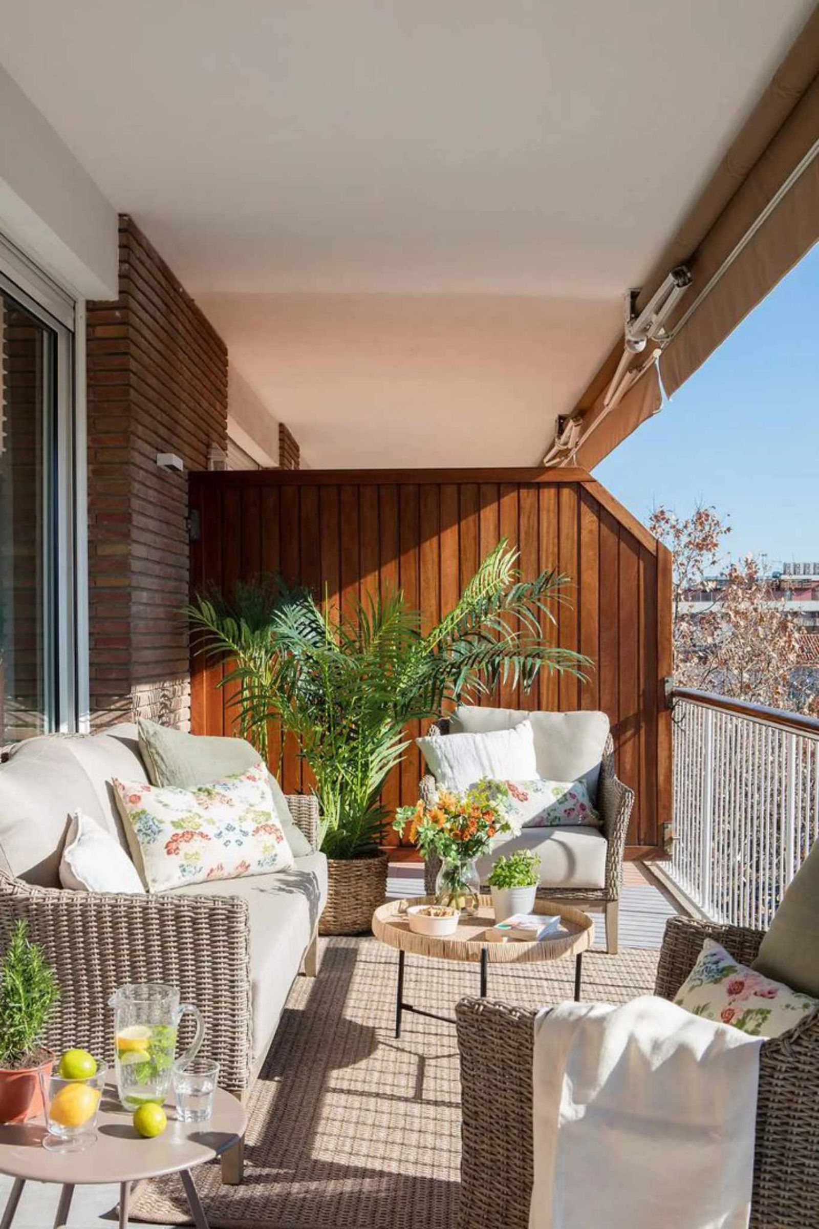 Las plantas transforman una terraza grande.