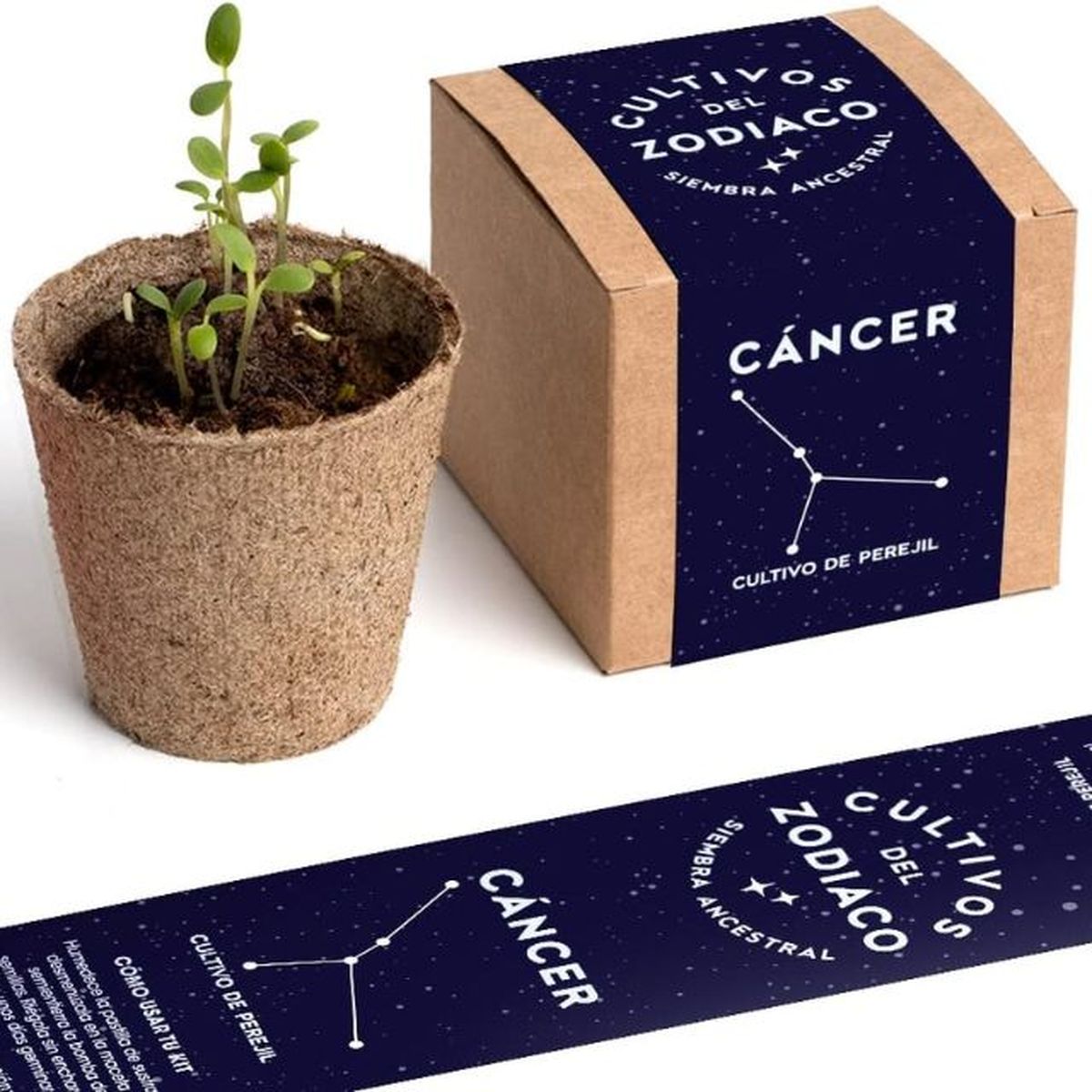 kit autocultivo cancer resetea