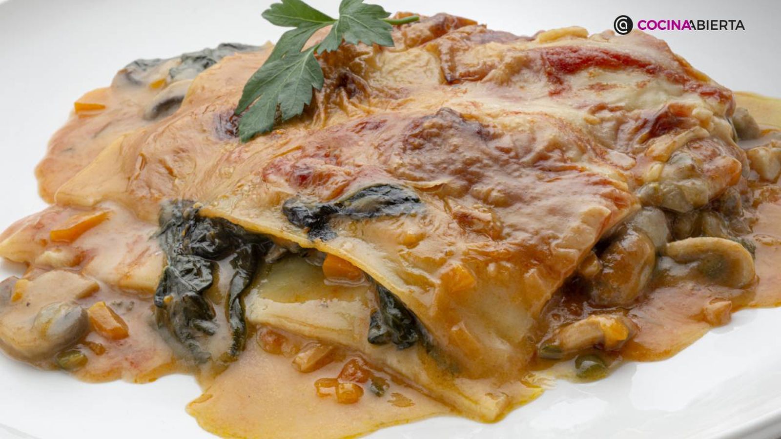 karl7142 lasana vegana xl