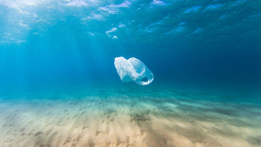 objetos degradarse bolsa plastico