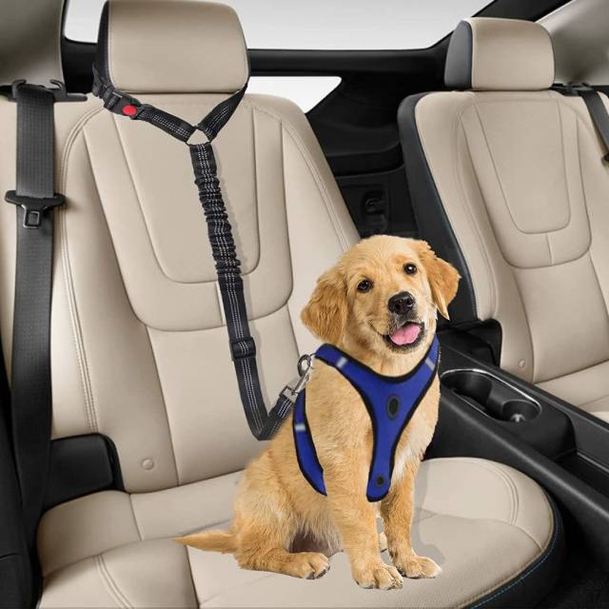 cintuones de seguridad para coche perros amazon