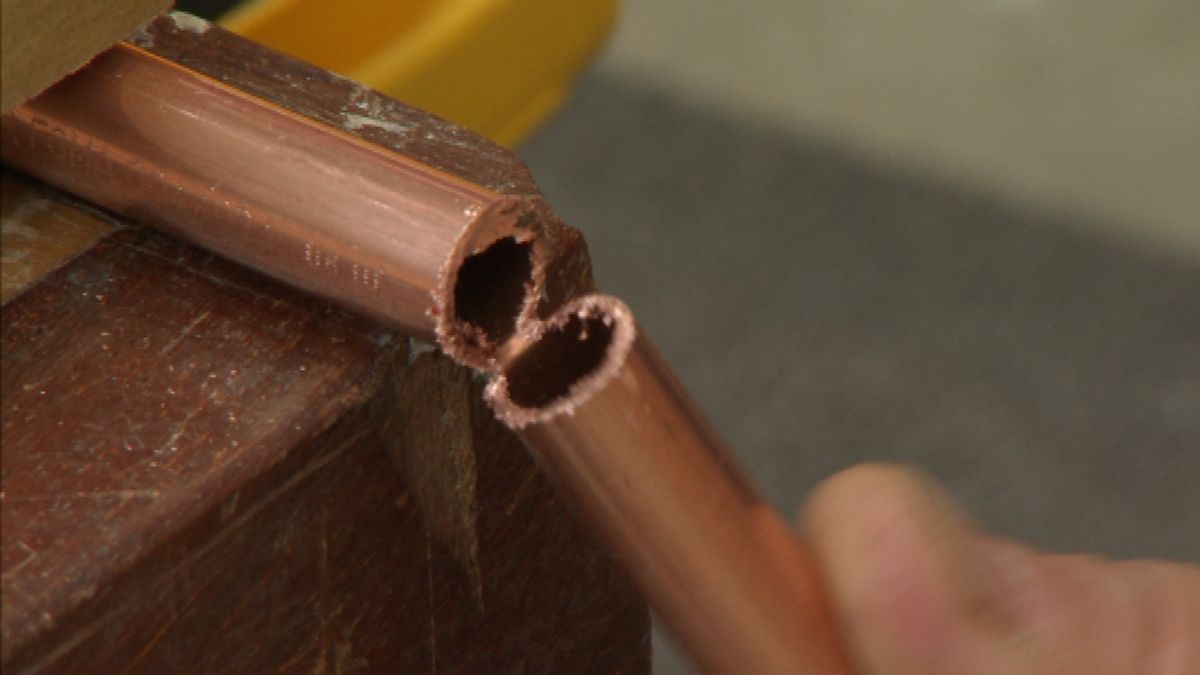 Lámpara silvestre paso 4