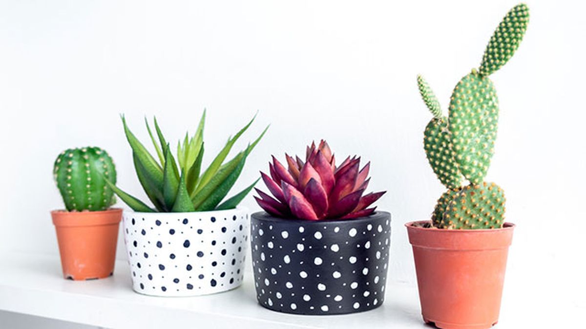 ideas decorar pintar tiestos lunares