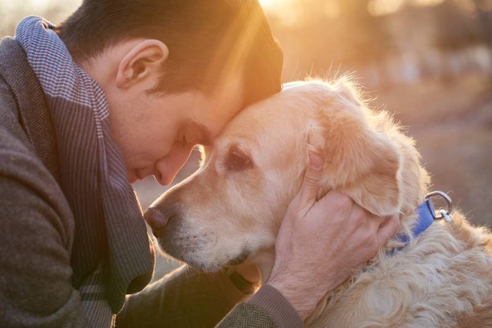 Un factor importante cuando tienes una mascota es responsabilizarte de llevarle al veterinario.