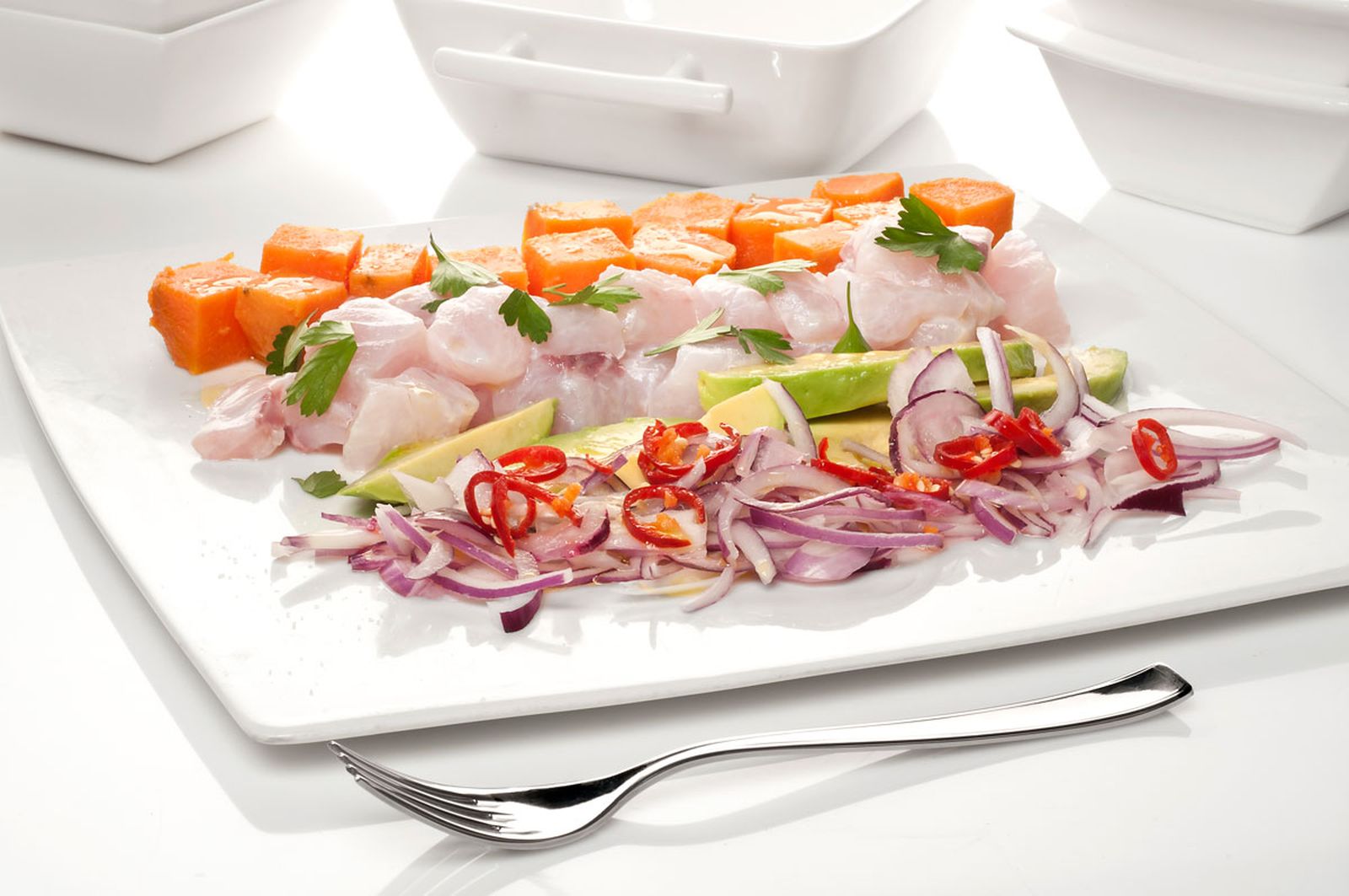 211 (1027) Ceviche peruano xl