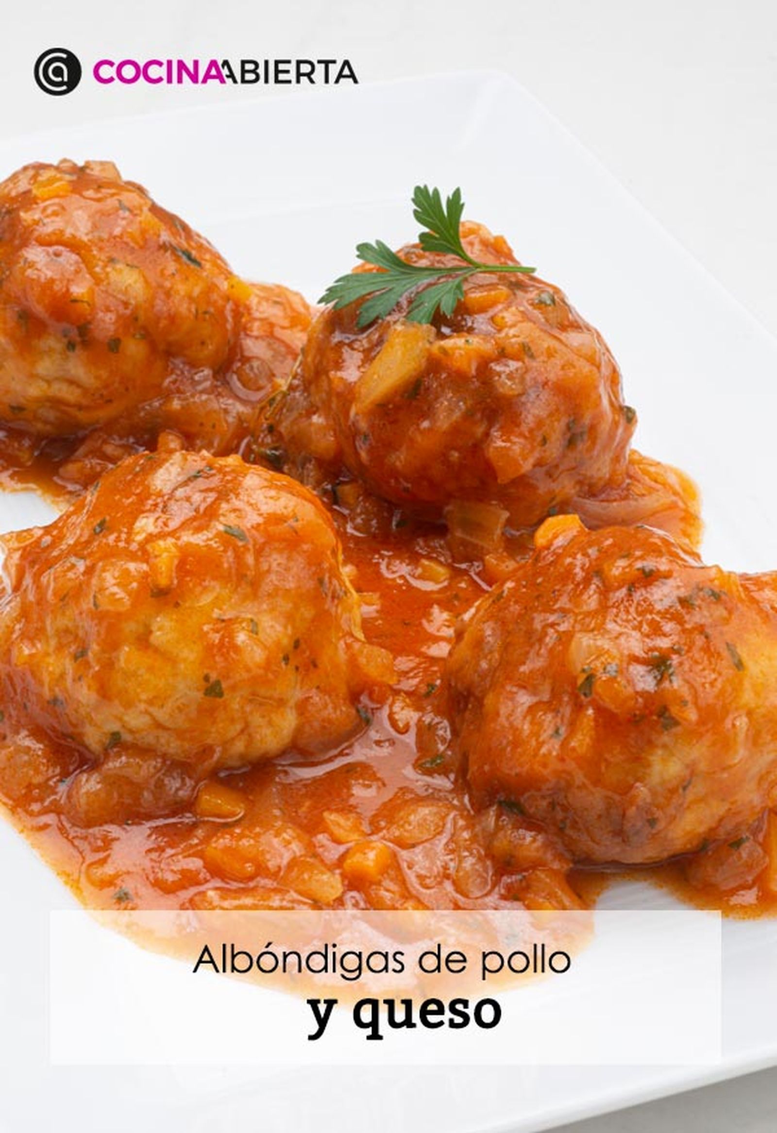 karl6642 albondigas pollo v
