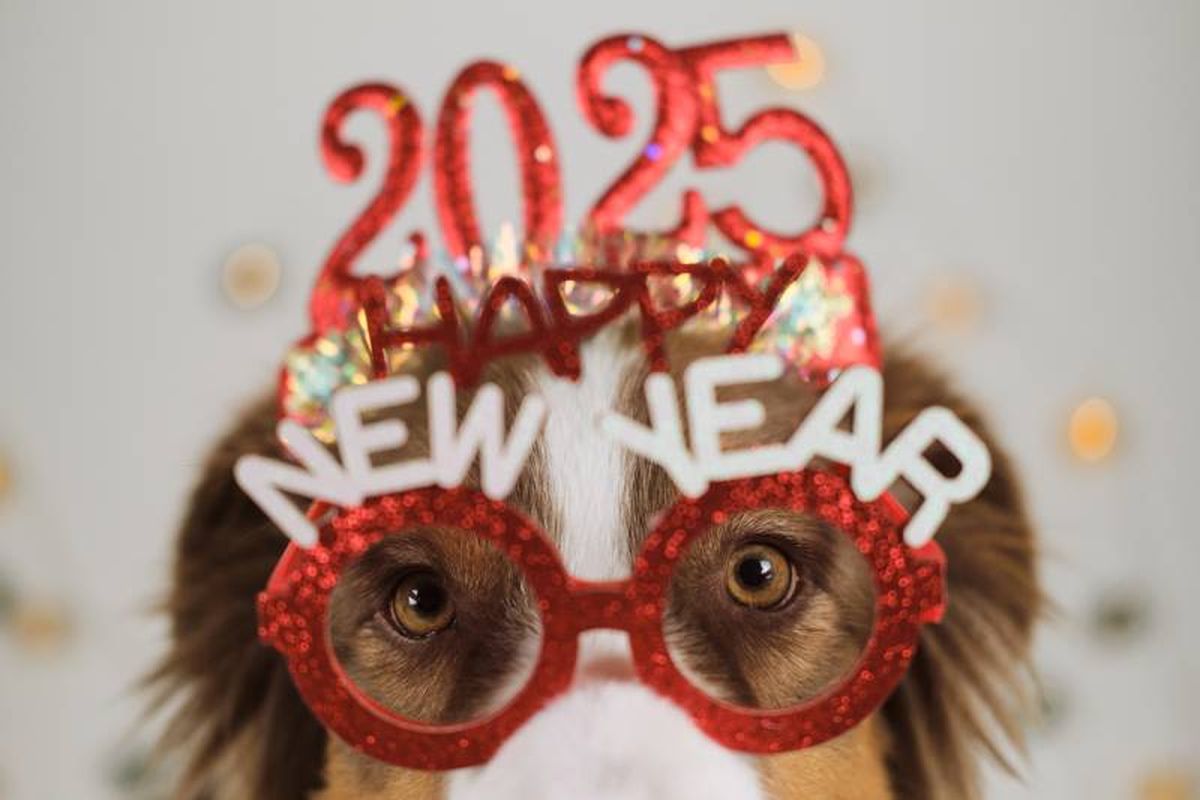 Cada animal es único, con lo que adapta estas sugerencias a sus necesidades individuales.