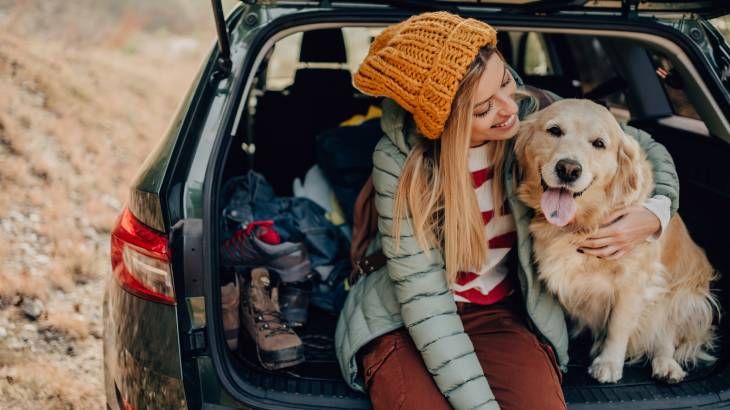 ventajas viajar mascotas beneficios