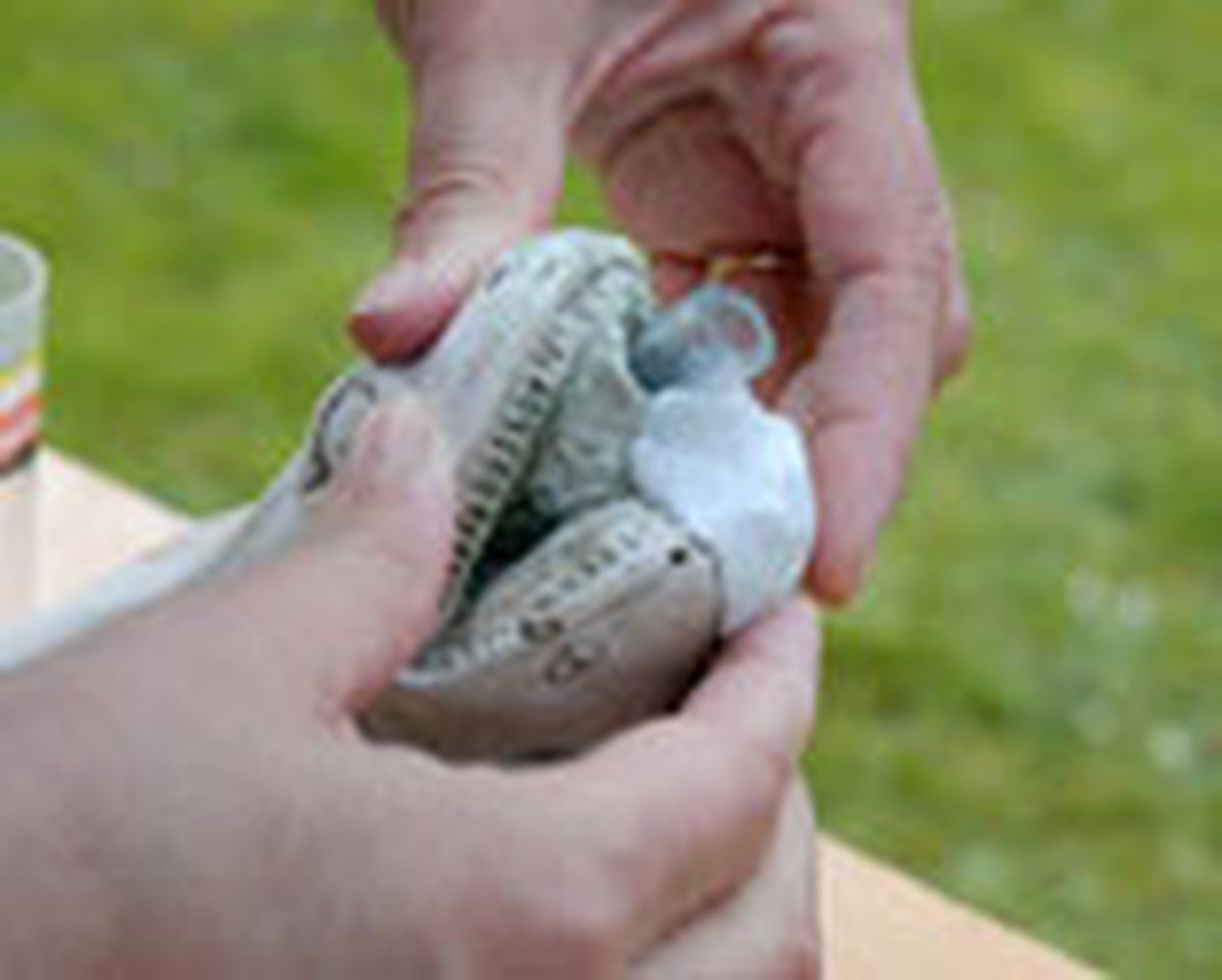 328 arregl fuent piedr p4