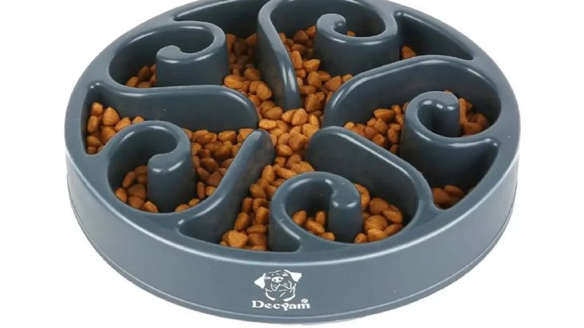 comedero para perros modelo 2