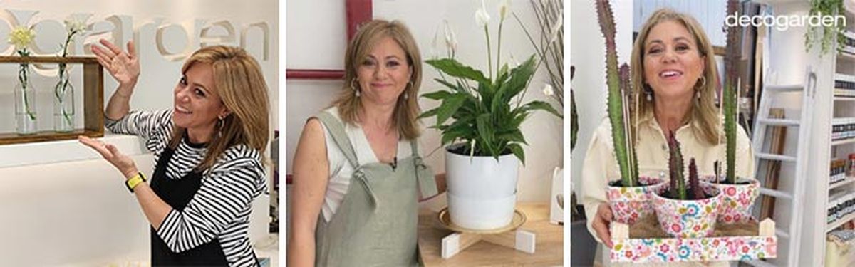 manualidades plantas decogarden