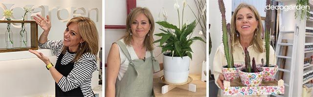 manualidades plantas decogarden