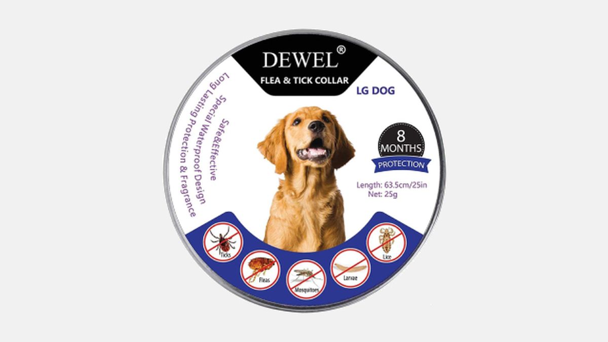 collares antiparasitarios para perros modelo 1