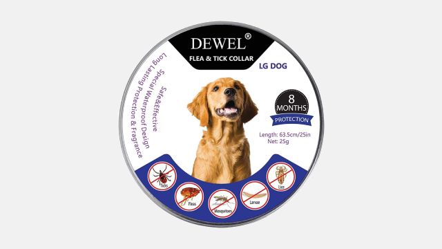 collares antiparasitarios para perros modelo 1