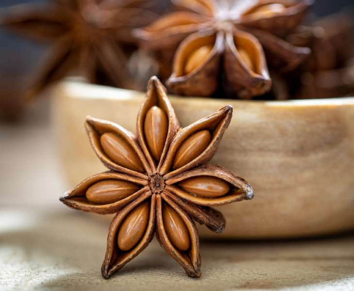 Semillas de anís estrellado dentro de sus segmentos