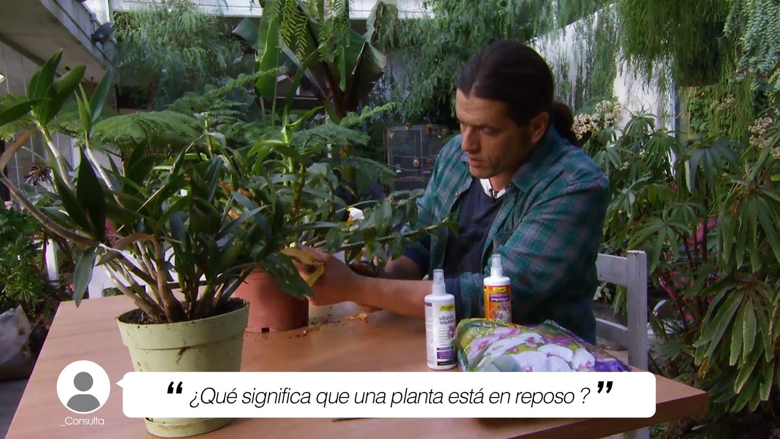 que significa que una planta esta en reposo